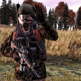 Dayz вся информация про еду