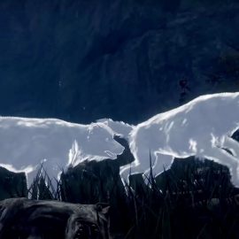 Elden Ring как призывать духов