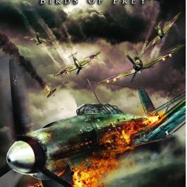 IL-2 Sturmovik: Birds of Prey (Россия) [RUS] PSP ISO